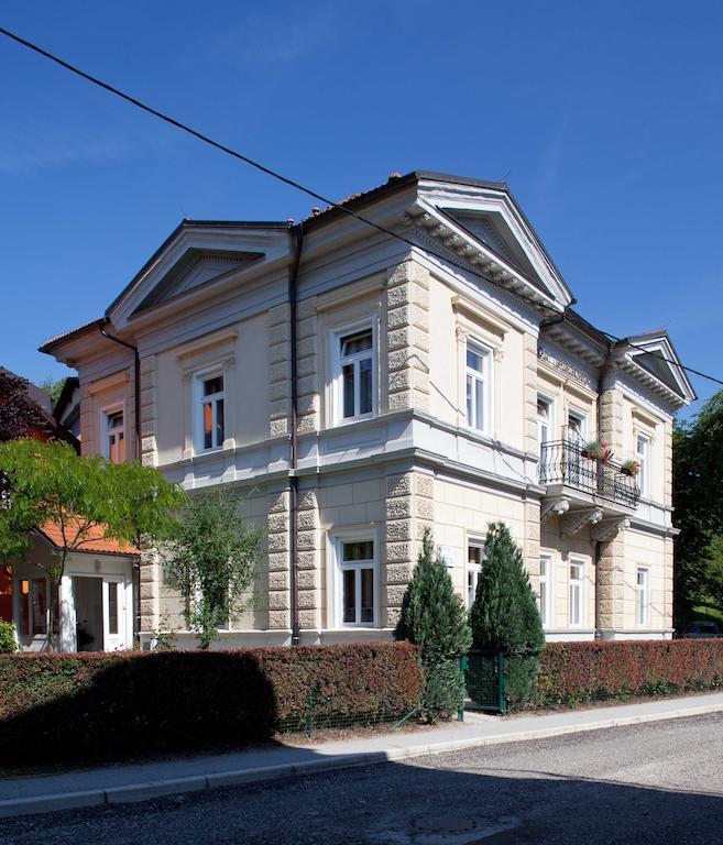 Garni Hotel Vila Ana Рогашка Слатина Экстерьер фото